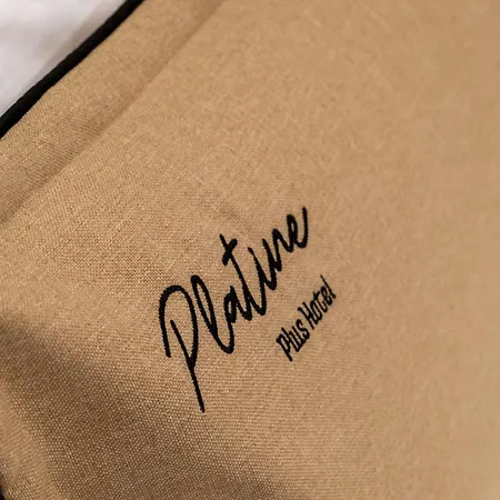 The Platine Hotel *