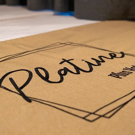 Hotel The Platine Istambul