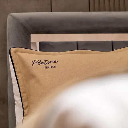 Hotel The Platine Istanbul