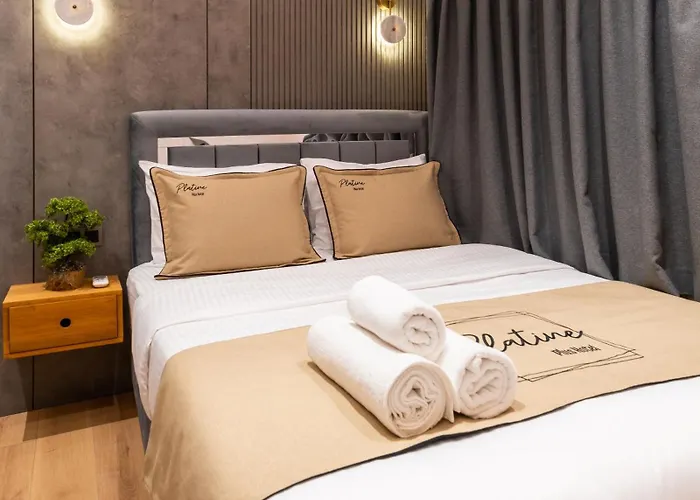 The Platine ホテル *