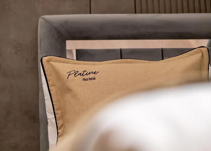 Hotel The Platine Istanbul