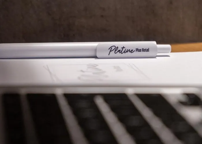 ホテル The Platine