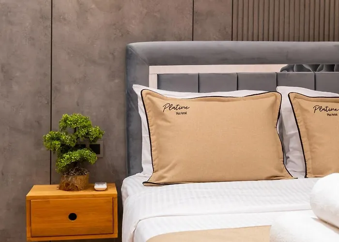 The Platine Hotel *