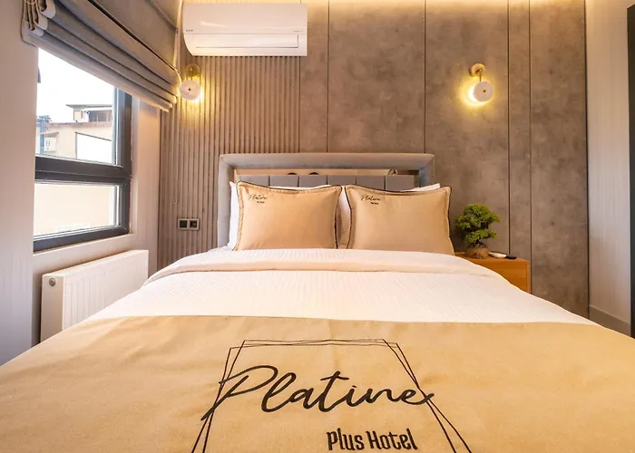 The Platine Hotel *